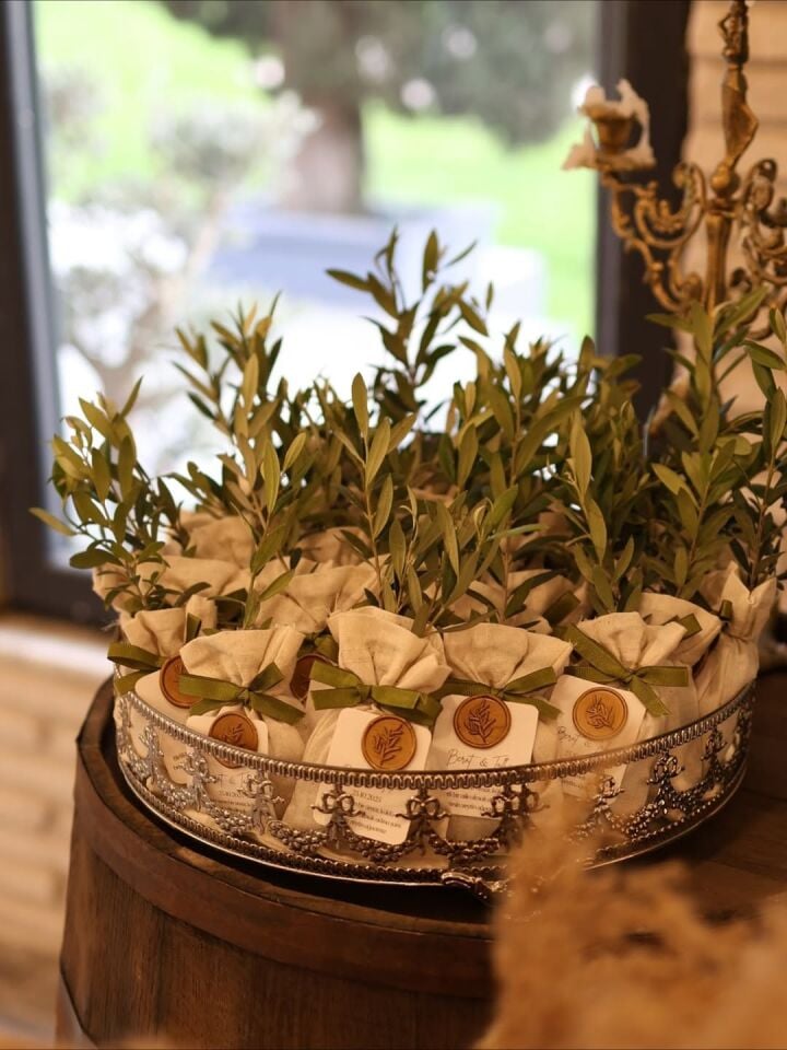 Nişan Hediyeliği Keseli Zeytin Fidesi